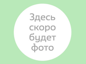 Воспитатель Петрищева Татьяна Дмитриевна Воспитатель Петрищева Татьяна Дмитриевна